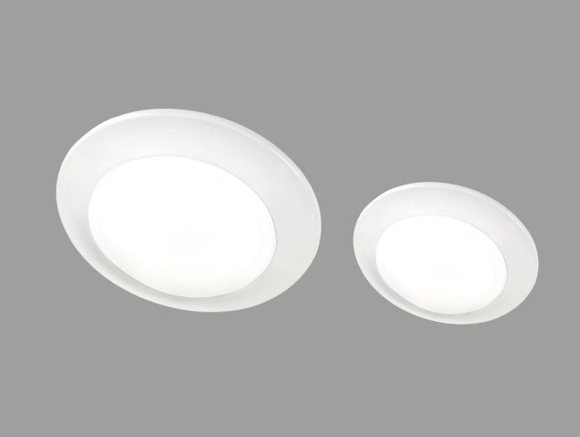 DSL Series-LED Disk Light